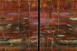 Tall, Arizona Petrified Wood Bookends - Red, Yellow & Purple #166075-2